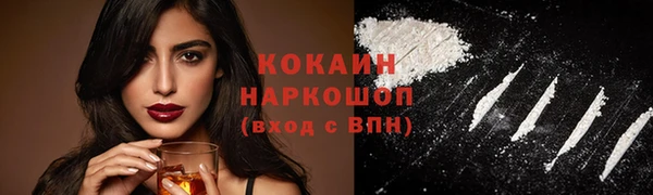 спайс Дмитриев