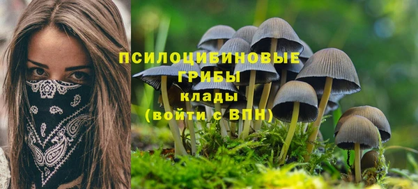 спайс Дмитриев