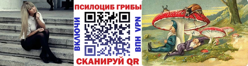 Купить  Заозёрск  Галлюциногенные грибы мицелий 