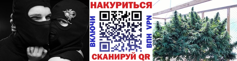 Купить  Заозёрск  Бошки Шишки SATIVA & INDICA 